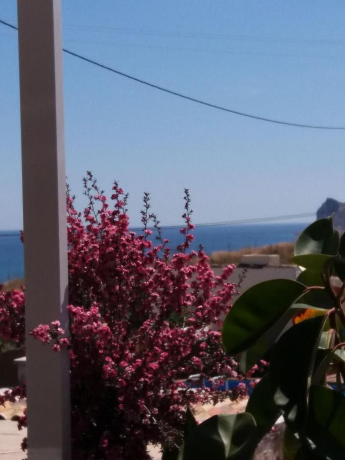 Casa Fleur Casco Antiguo Altea Con Piscina Privada Y Jardin公寓 外观 照片